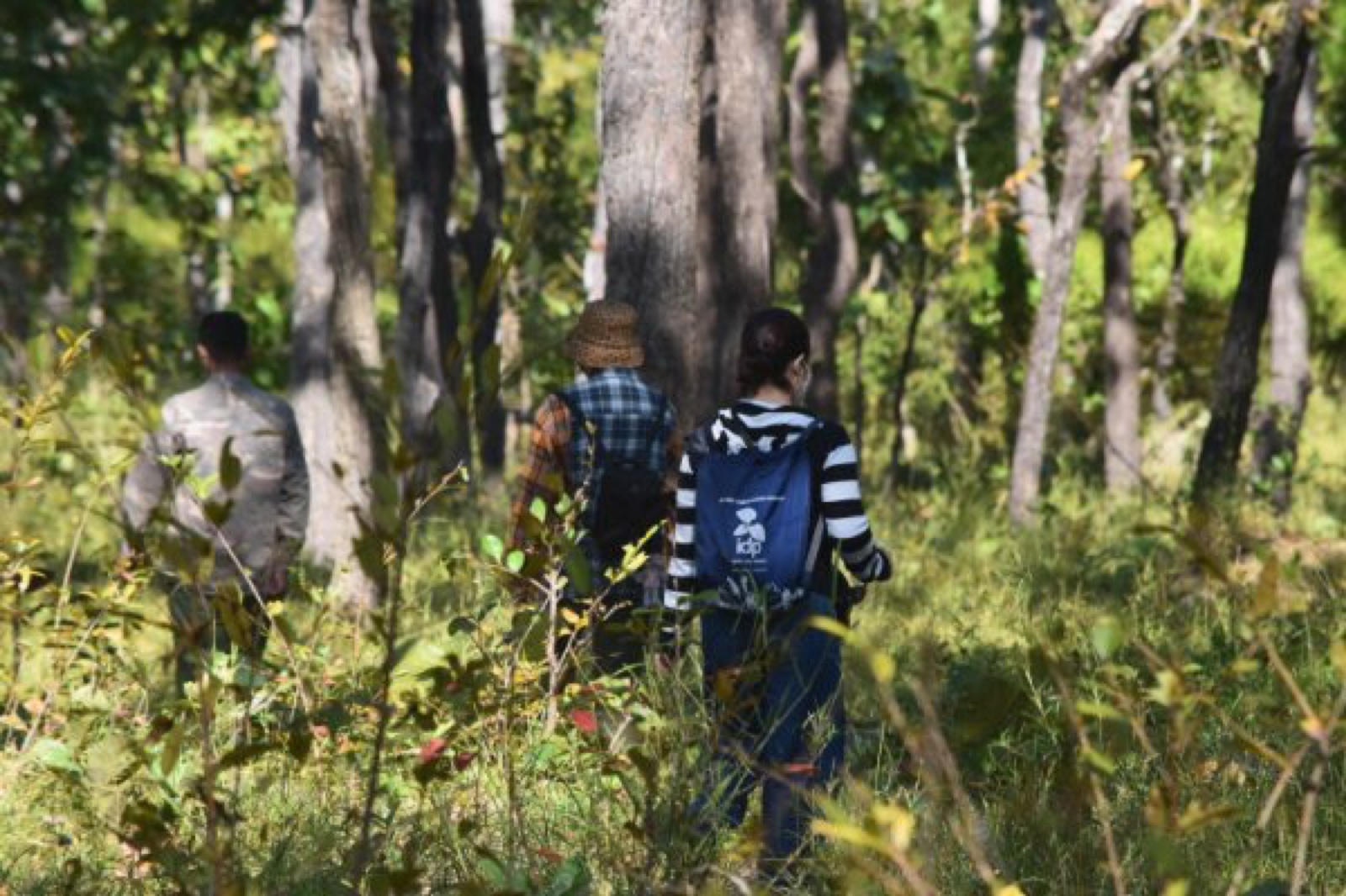 Two travelers entering the dipterocarp forest of the Central Highlands